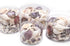 Purple White Seashell Pack
